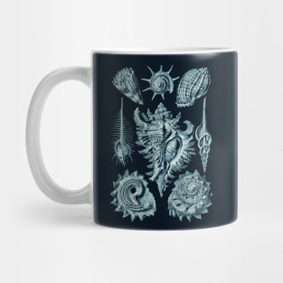 Ernst Haeckel Prosobranchia Sea Shells Cerulean Mug